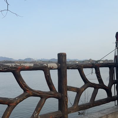 YhyU1Oqb8K9662's profile picture. 