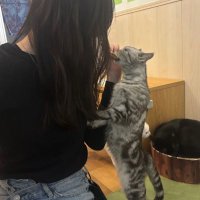 ゆうき (@dqs9fbzdxw39028) 's Twitter Profile
