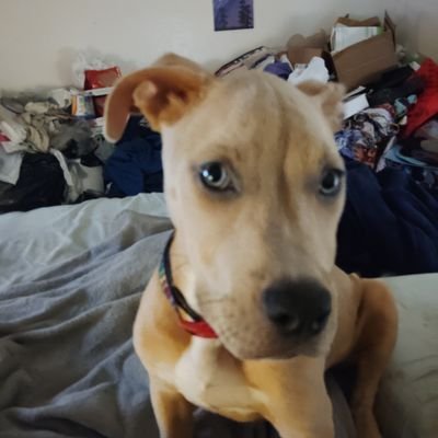@MikeGeraug9643