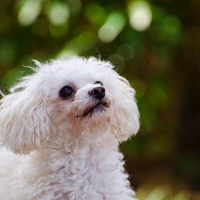 StevenG94527653's profile picture. Beach life or bust. Trump Train since 2015