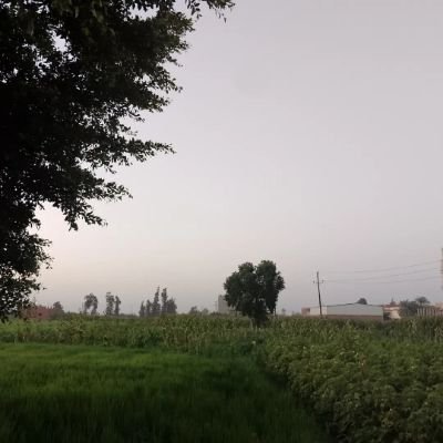 ALAAHAS93115842's profile picture. كأنَّ الخلقَ أجمعَهم،معي،لكننَّي وَحْدِي!!