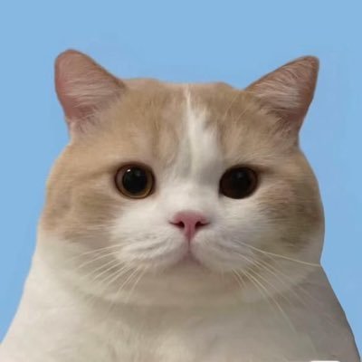 アイドルモチベが高くなったときだけ動かします(ᴖ ̫ᴖ)🎶