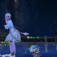 ぴーやん (@kpjhfyv0) Twitter profile photo