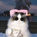 Gatochan is a good cat (@alphagalactuz) Twitter profile photo Gatochan is a good cat (@alphagalactuz) Twitter profile photo