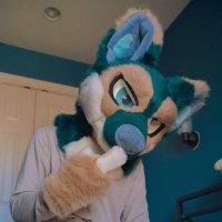 Deogi Dog (@deogidog) 's Twitter Profile Photo Deogi Dog (@deogidog) 's Twitter Profile Photo