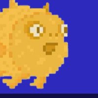 Crypto Fish (@fishing4_crypto) 's Twitter Profile Photo Crypto Fish (@fishing4_crypto) 's Twitter Profile Photo