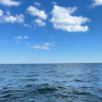 Blue Sky (@md202282199586) 's Twitter Profile