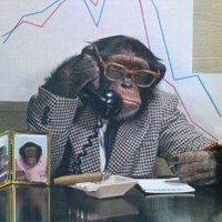 Hash Crash (@hashcrashhero) 's Twitter Profile
