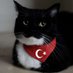 kebab🇹🇷 (@kebabthesecond) Twitter profile photo kebab🇹🇷 (@kebabthesecond) Twitter profile photo