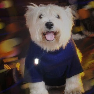 jose_marti74420's profile picture. 