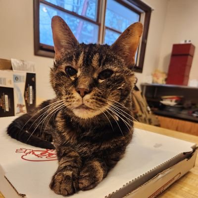starting over after Jack and his minions suspended my last account. 55 married with cats