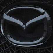 javikorral's profile picture. 