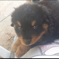 Brianna Smyth (@bri_smyth) 's Twitter Profile Photo