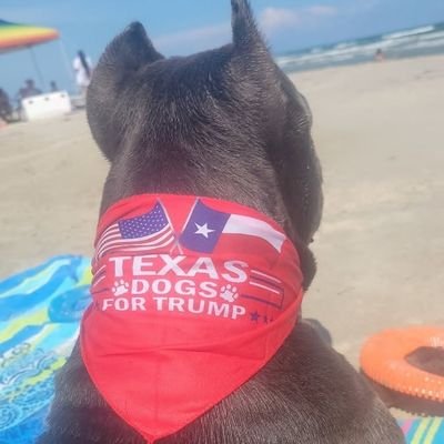 Ex Democrat, just like Trump, Vance, Elon, Tulsi, Joe Rogan, RFK Jr. & Leo 2.0!!! I voted for Trump all 3 times!!! Patriot, not a Republican!!! No DM's ❤️🤍💙