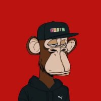 Momoh🐾🦅 (@_leckymoh) 's Twitter Profile Photo