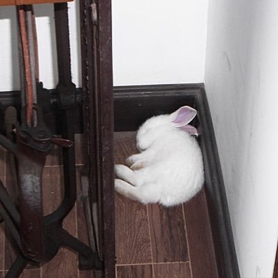 pau071119's profile picture. historia uma