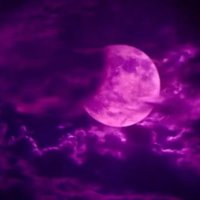 ✨moonlight 🌙 (@cilekmsi8) 's Twitter Profile Photo ✨moonlight 🌙 (@cilekmsi8) 's Twitter Profile Photo