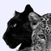 ﮼تايقره (@fa00505) Twitter profile photo ﮼تايقره (@fa00505) Twitter profile photo