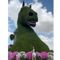 Alice in wonderland (@tugceekutlu) Twitter profile photo