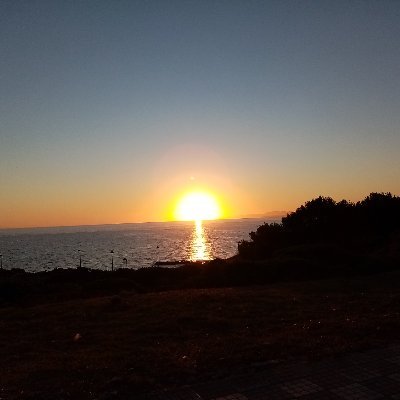 maltais_malte05's profile picture. J'adore les macronistes remplis de suffisance. Les gauchistes, dont j'ai fait partie près de 30 ans, me donnent la gerbe. Contrairement à eux, j'ai évolué.