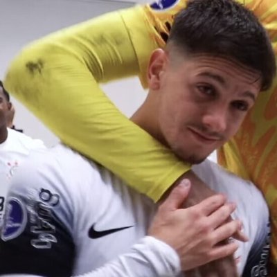 seu porco insolente