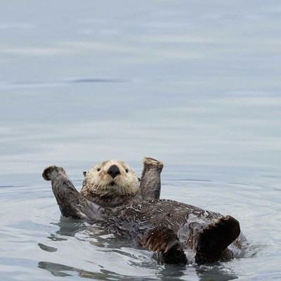 the_mrymh's profile picture. so Blue..