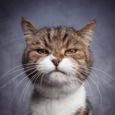 vetal_sheva's profile picture. Мелафон у меня!