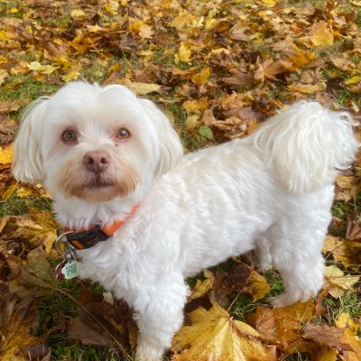 raquellundd's profile picture. MUN PharmD Class of 2027