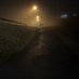 Gudvin Haraldsson (@gudvinsth) Twitter profile photo Gudvin Haraldsson (@gudvinsth) Twitter profile photo