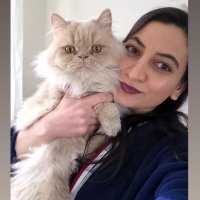 Sultan (@sultankrks_) Twitter profile photo