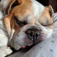 cheryll O (@o_cheryll82827) 's Twitter Profile