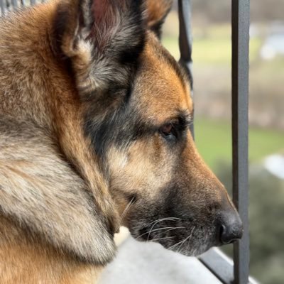 AnnaHoustonn's profile picture. Com més clars, més amics.