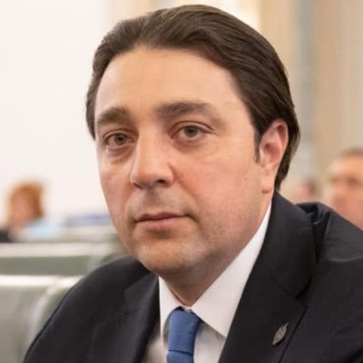 Father, Husband, Former Senator, Consultant, Romanian Citizen