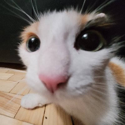 ELuxannaR's profile picture. she/her 

I'm like a quirky mixtape of existential dread and car problems, all served with a side of Polish humor

Big Money Waste enthusiast