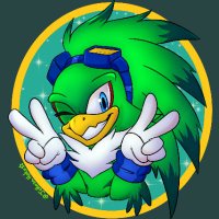 Jet The Hawk (@jetthehawkva) 's Twitter Profile