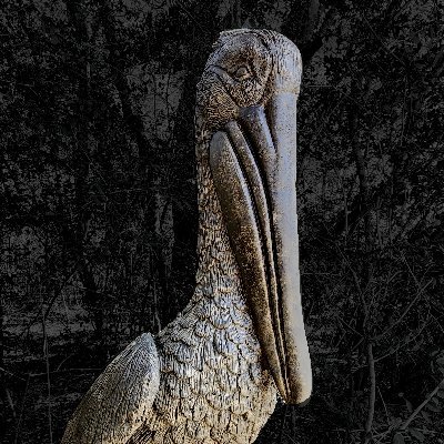 LastPelican's profile picture. Just watching.