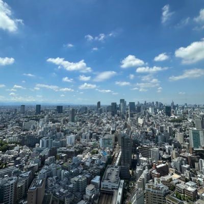 pinescript's profile picture. 