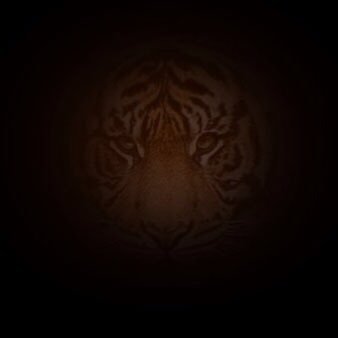 TruenCautionary's profile picture. A True and Cautionary Tale.