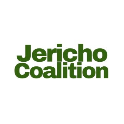 We are a group of volunteer citizens who oppose the City’s/MST proposals for Jericho Lands. The towers are too big, unsustainable & units will be too expensive
