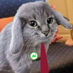 Secretary Gloinkius (@gloinkiusgonge) Twitter profile photo Secretary Gloinkius (@gloinkiusgonge) Twitter profile photo