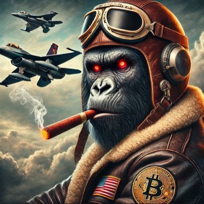 Mr_Hijak's profile picture. Veteran Carnivorous Bitcoin Maximalist
