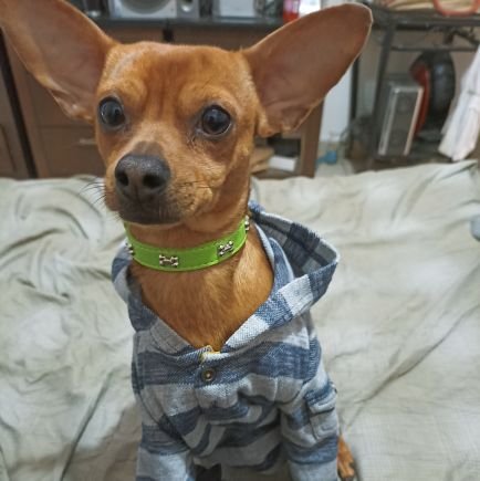 CesarGa78358253's profile picture. 