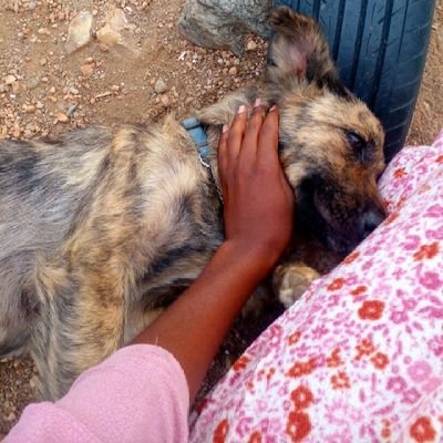 wakanyati's profile picture. Don't think deep, just for fun 💀