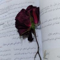 صہٰوفہٰي ❤️ (@sufi94_) Twitter profile photo