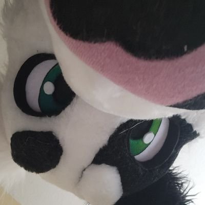 Born to Shitpost, Forced to Realpost - Collie Supremacist & Tactical Furfag - Many Cells, None Brain - Minors DNI ~ 🏳️🌈