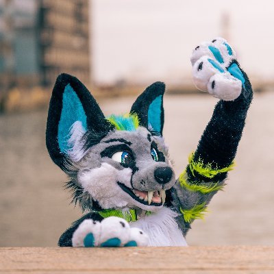 Ziggy Spidox @EF? 🕷️🦊👃🏳️‍🌈さんのプロフィール画像