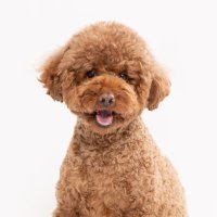 Alvis (@alvis_220303) 's Twitter Profile Photo Alvis (@alvis_220303) 's Twitter Profile Photo