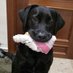 Lola (@lolasalamanca55) Twitter profile photo Lola (@lolasalamanca55) Twitter profile photo