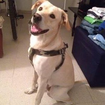 CamiloC37920203's profile picture. 