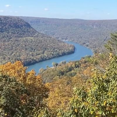 bruna8587's profile picture. 